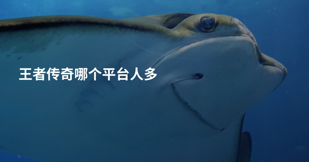 王者传奇哪个平台人多