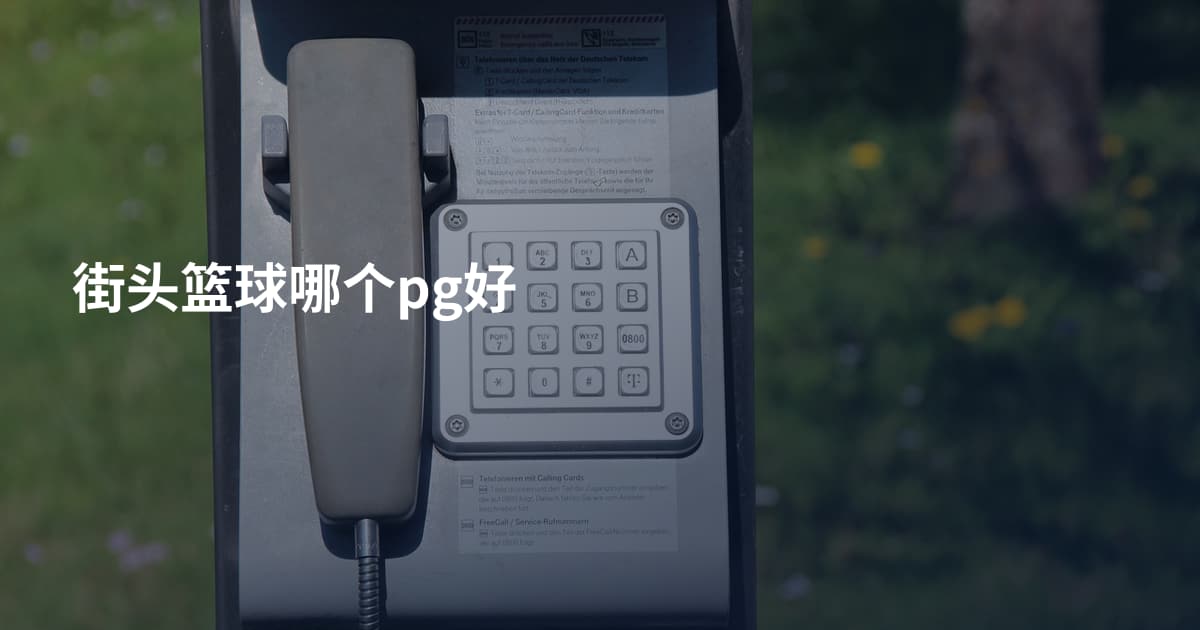 街头篮球哪个pg好