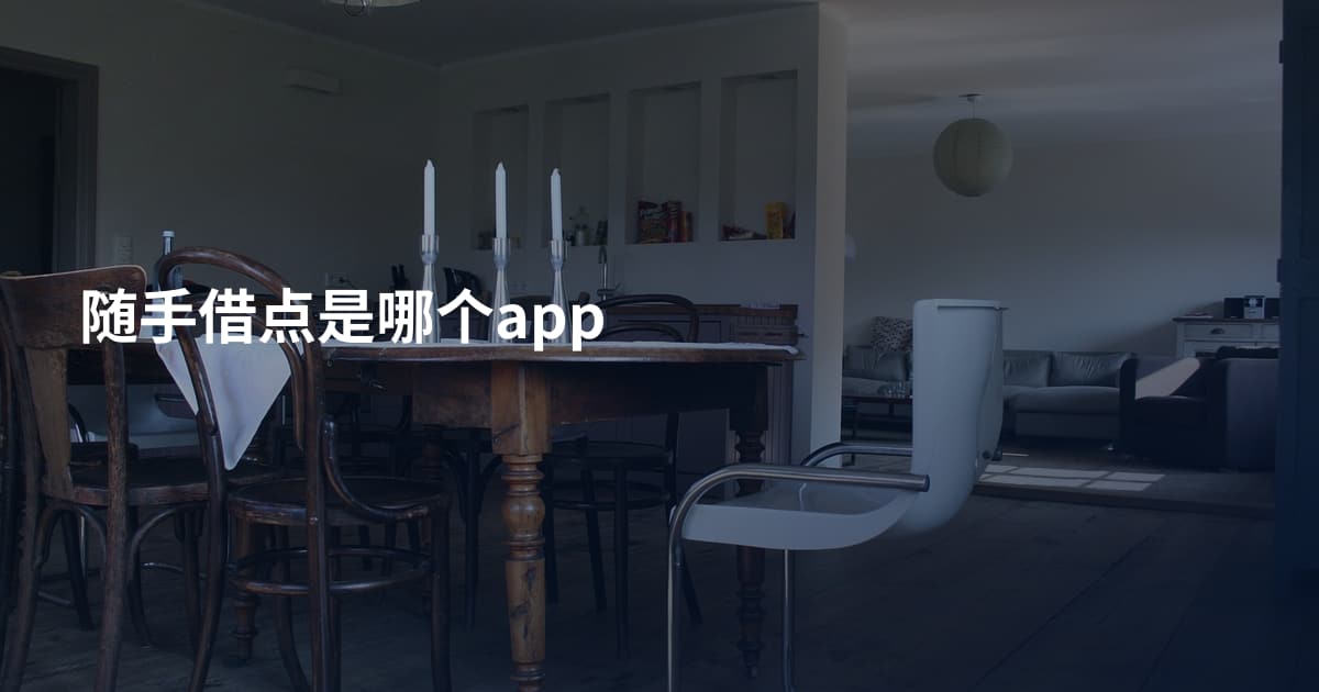 随手借点是哪个app