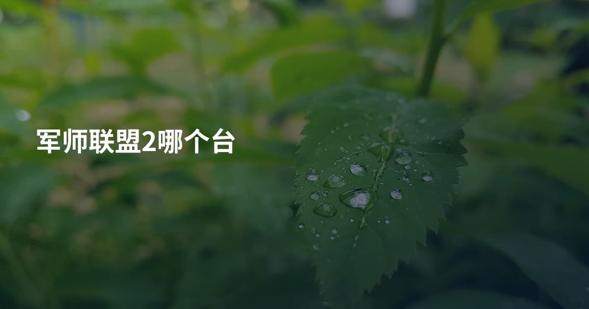 军师联盟2哪个台