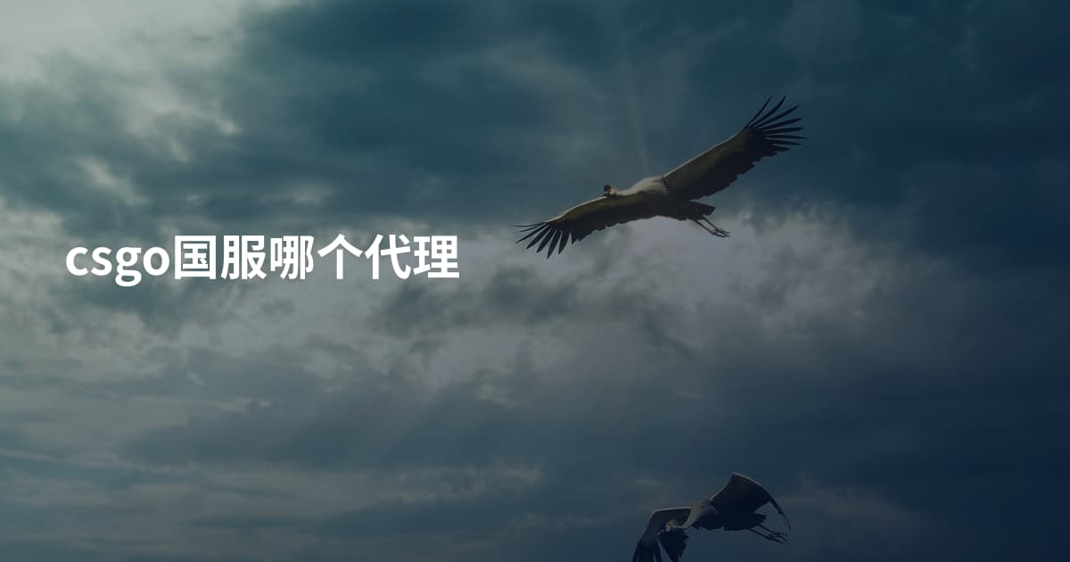 csgo国服哪个代理