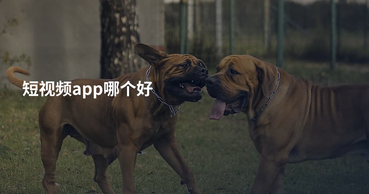 短视频app哪个好