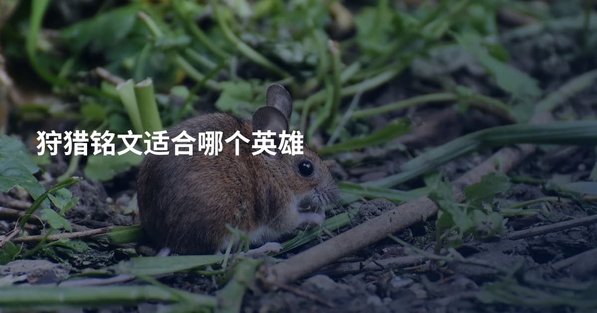 狩猎铭文适合哪个英雄