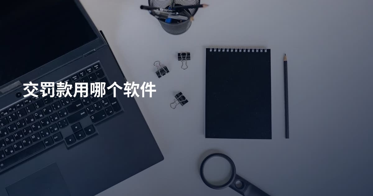 交罚款用哪个软件