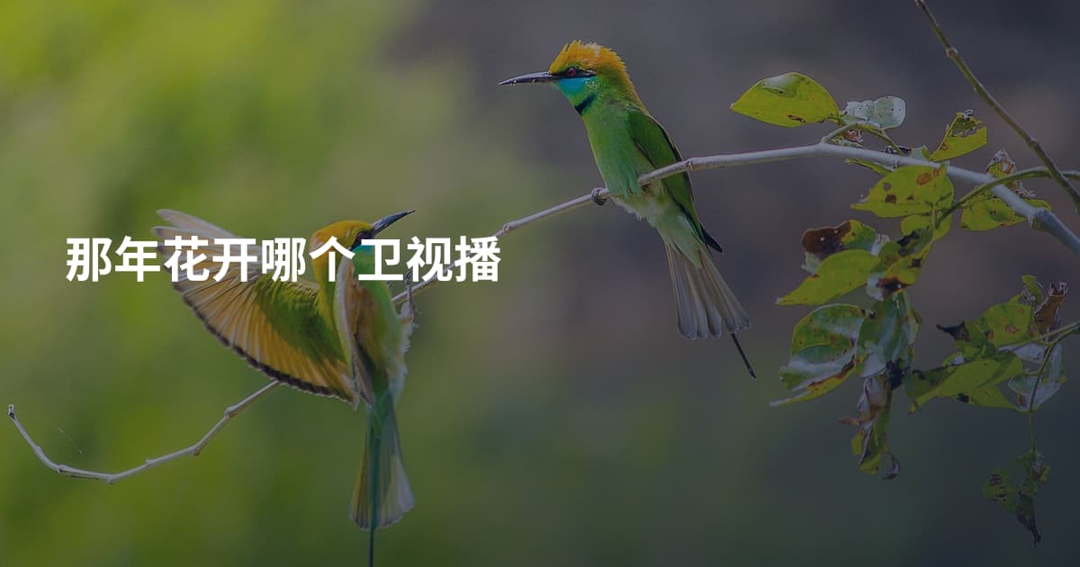 那年花开哪个卫视播