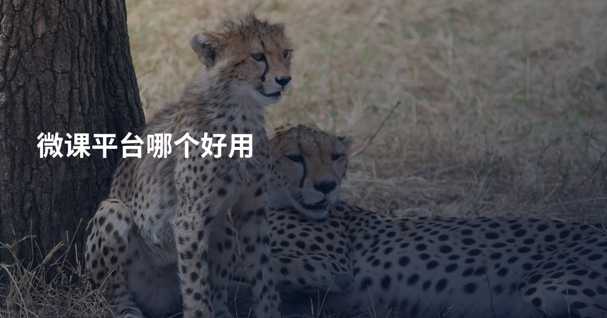 微课平台哪个好用