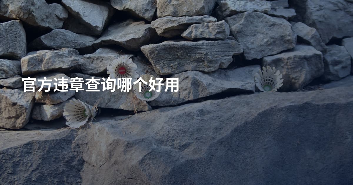 官方违章查询哪个好用