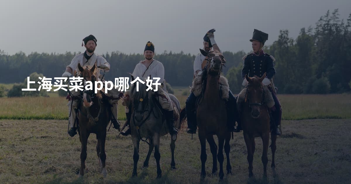上海买菜app哪个好