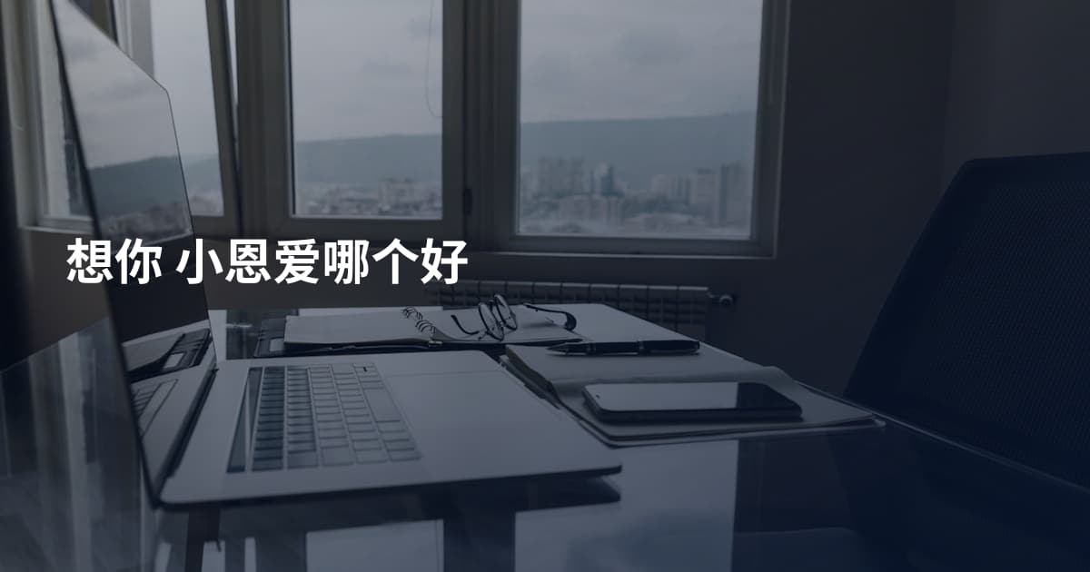 想你 小恩爱哪个好