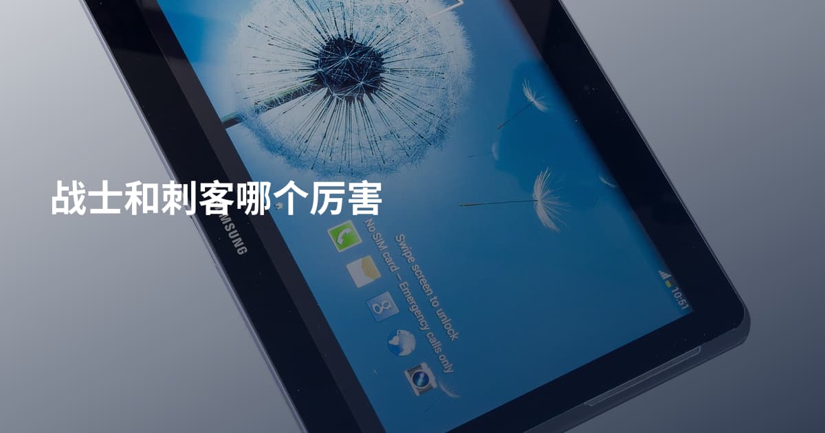 战士和刺客哪个厉害