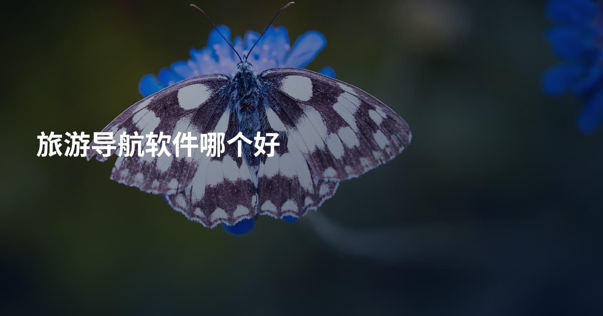 旅游导航软件哪个好