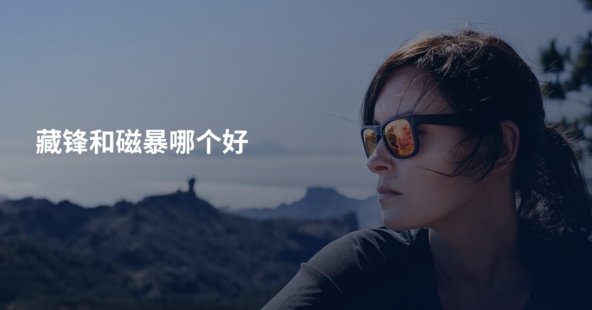 藏锋和磁暴哪个好