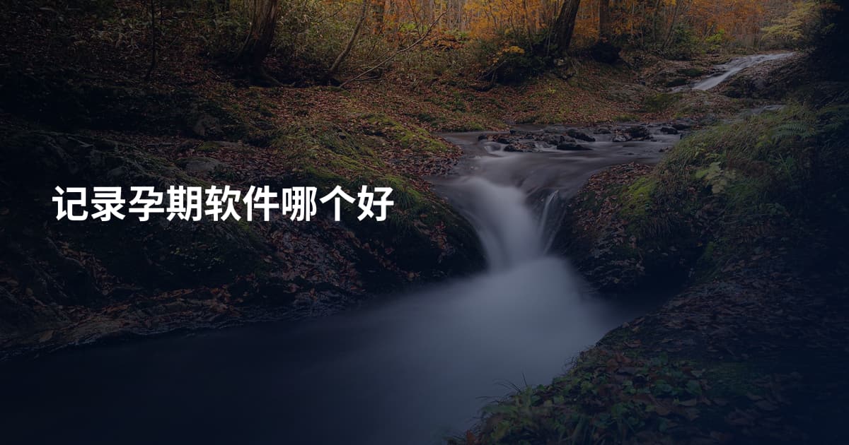 记录孕期软件哪个好