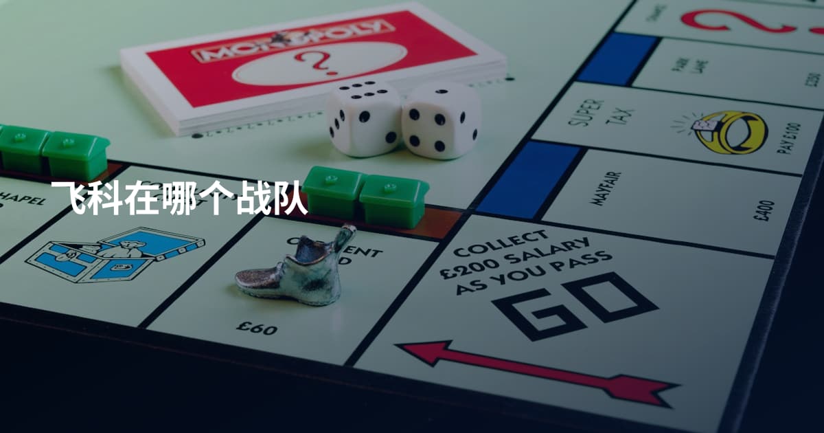 飞科在哪个战队