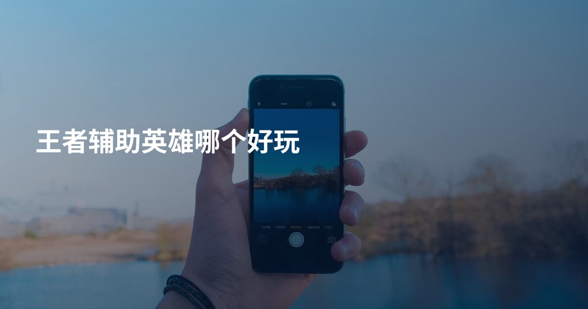 王者辅助英雄哪个好玩