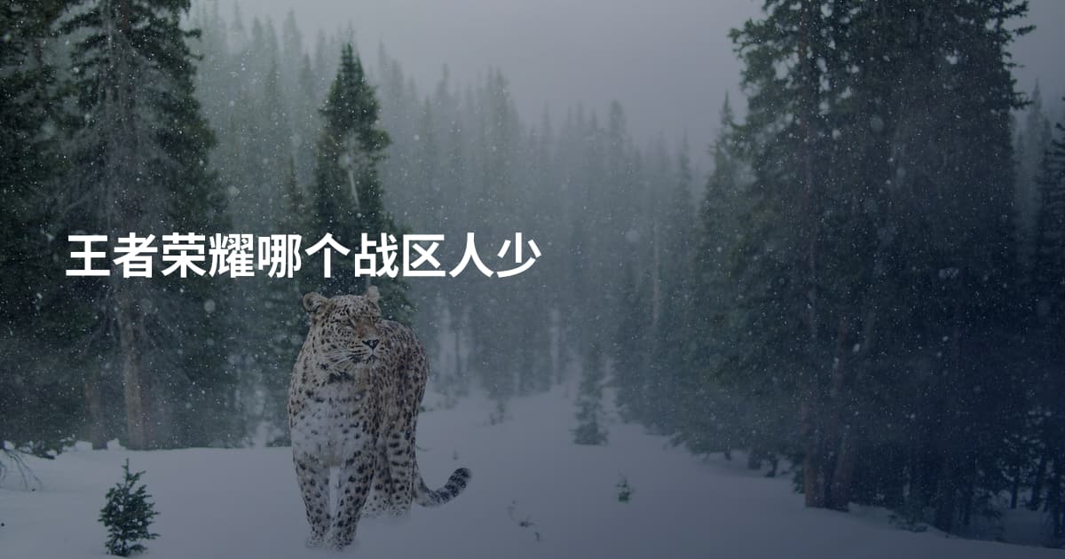 王者荣耀哪个战区人少