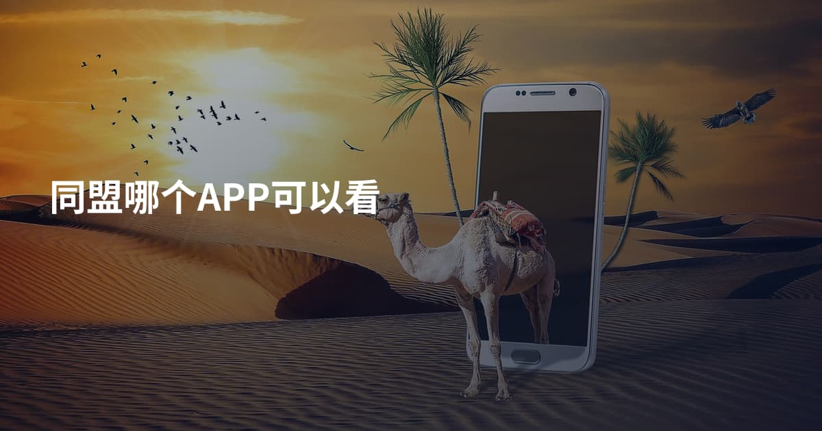 同盟哪个APP可以看