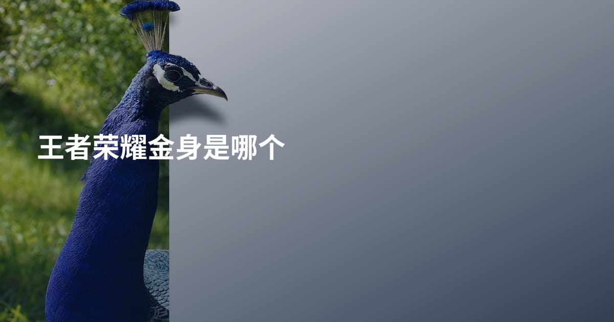 王者荣耀金身是哪个