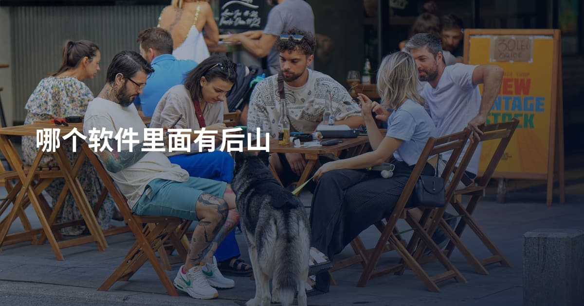 哪个软件里面有后山