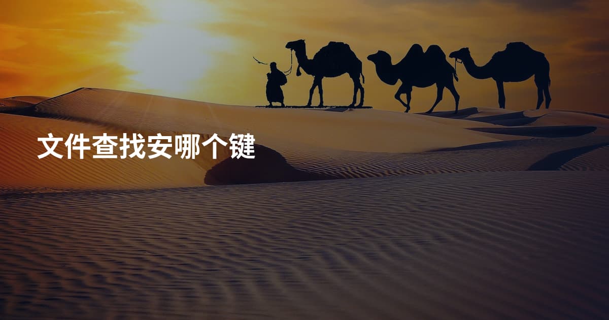 文件查找安哪个键