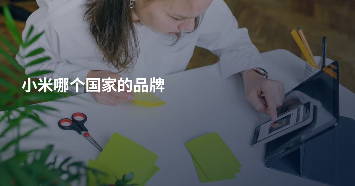 小米哪个国家的品牌