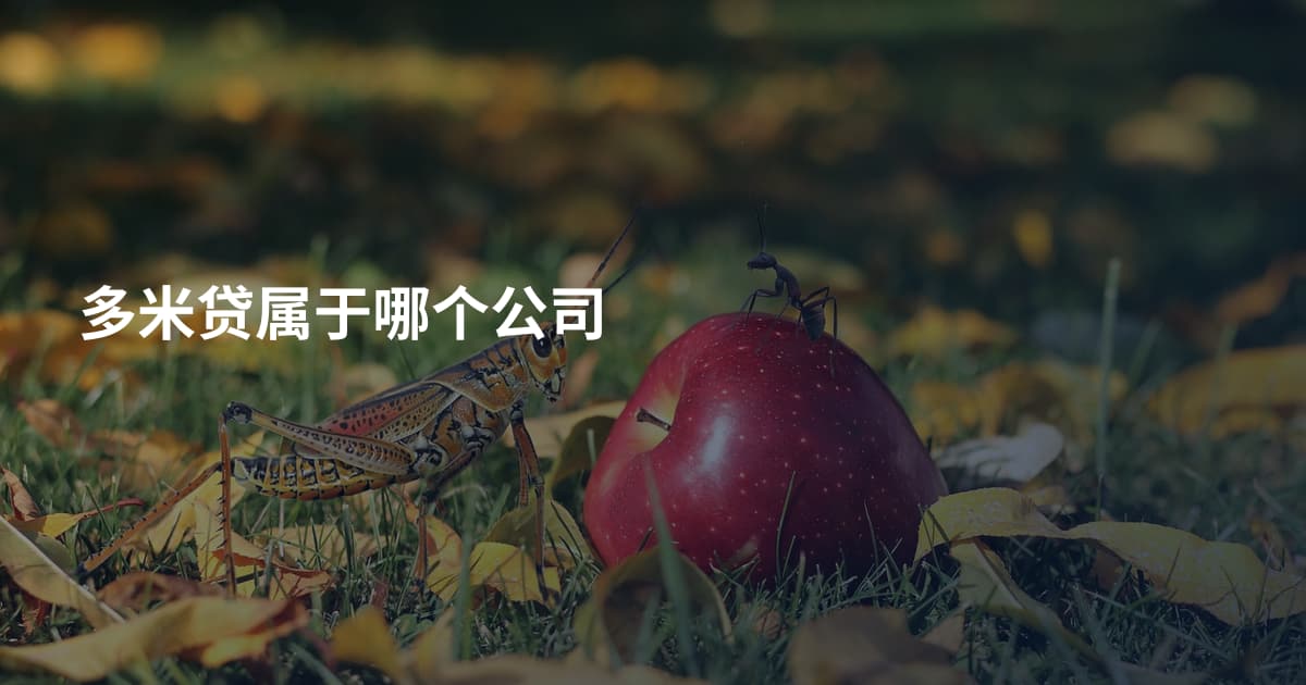 多米贷属于哪个公司
