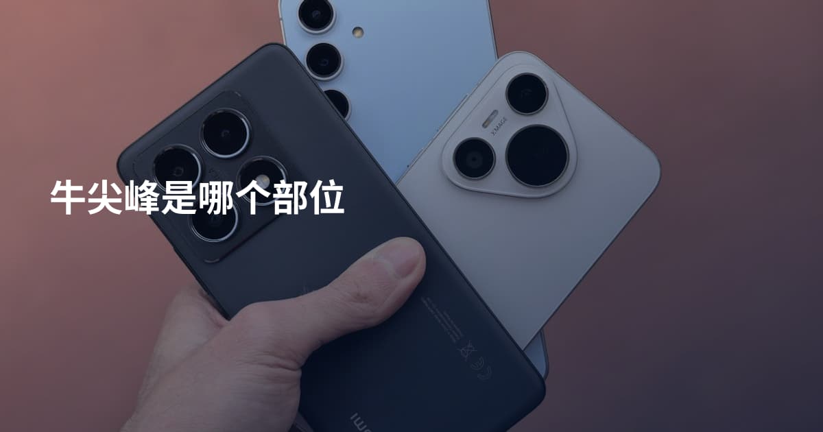 牛尖峰是哪个部位