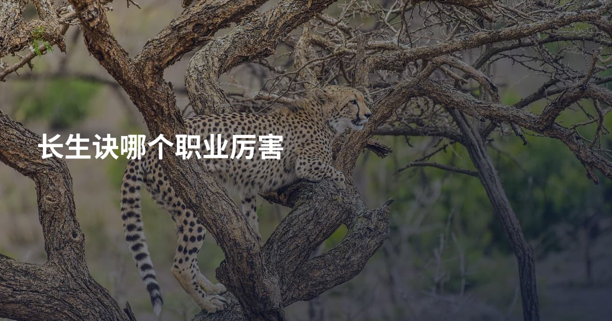 长生诀哪个职业厉害