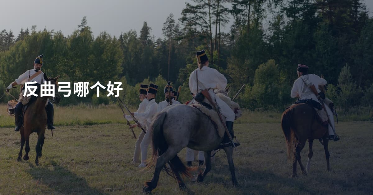 反曲弓哪个好