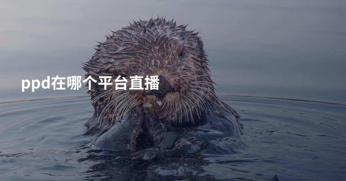 ppd在哪个平台直播