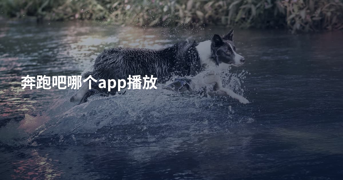 奔跑吧哪个app播放