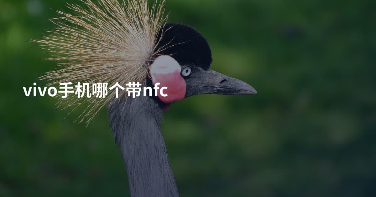 vivo手机哪个带nfc