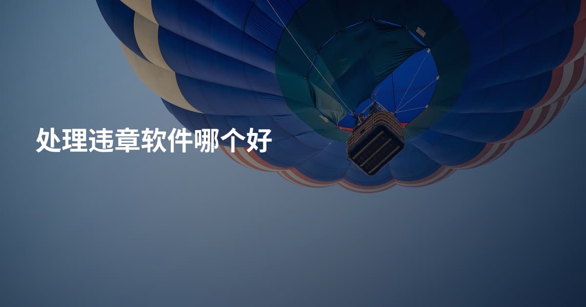 处理违章软件哪个好