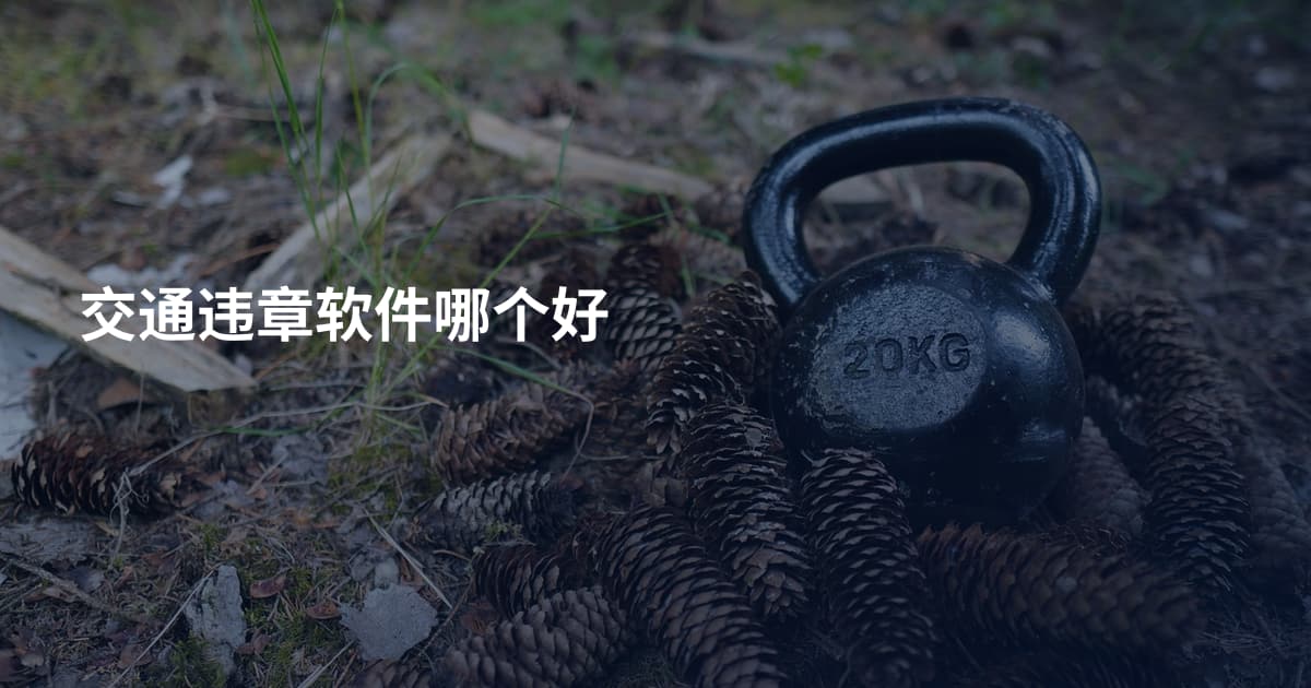 交通违章软件哪个好