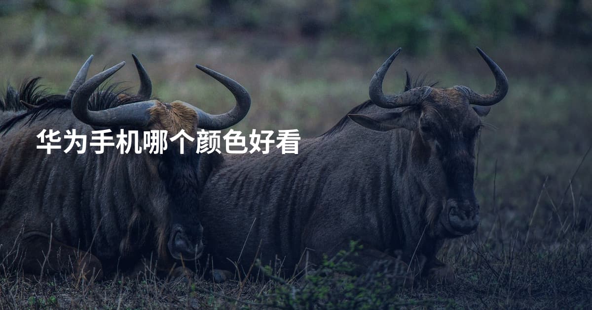 华为手机哪个颜色好看