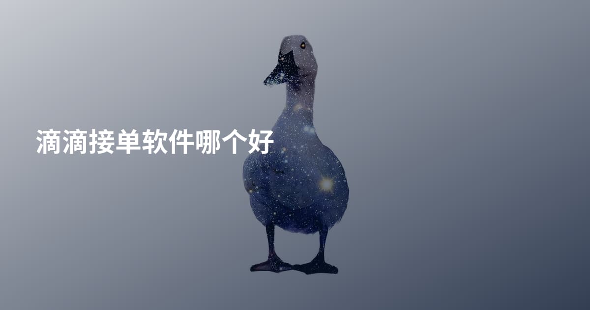 滴滴接单软件哪个好