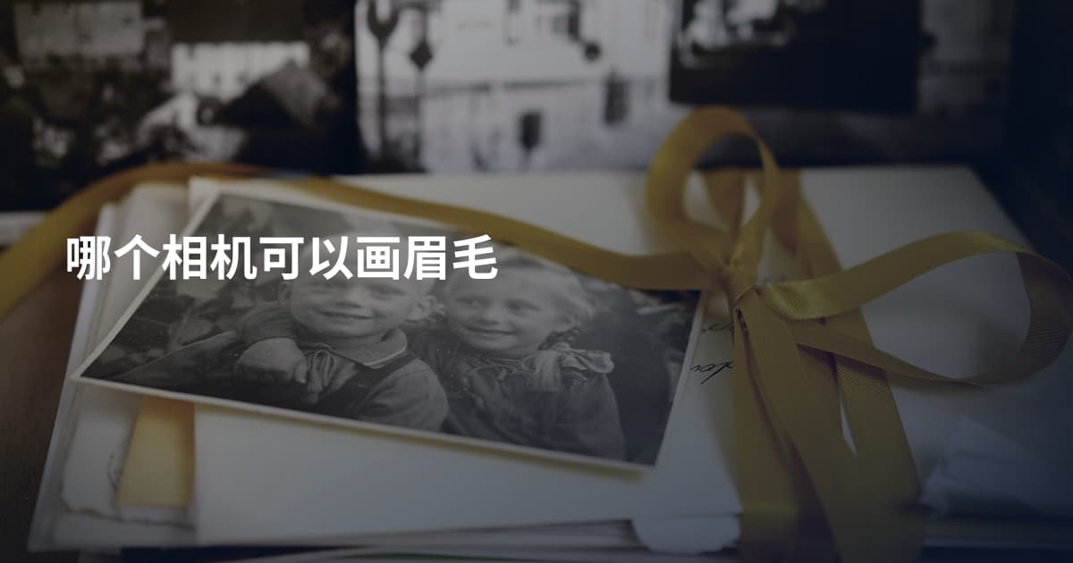 哪个相机可以画眉毛