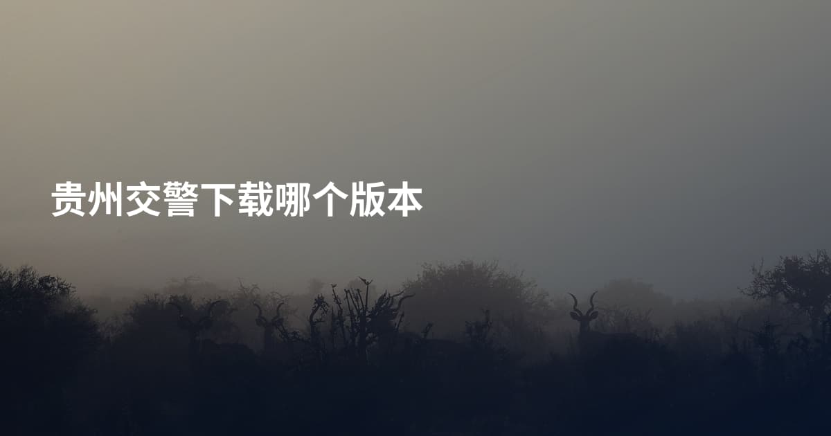 贵州交警下载哪个版本