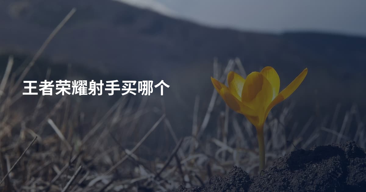 王者荣耀射手买哪个