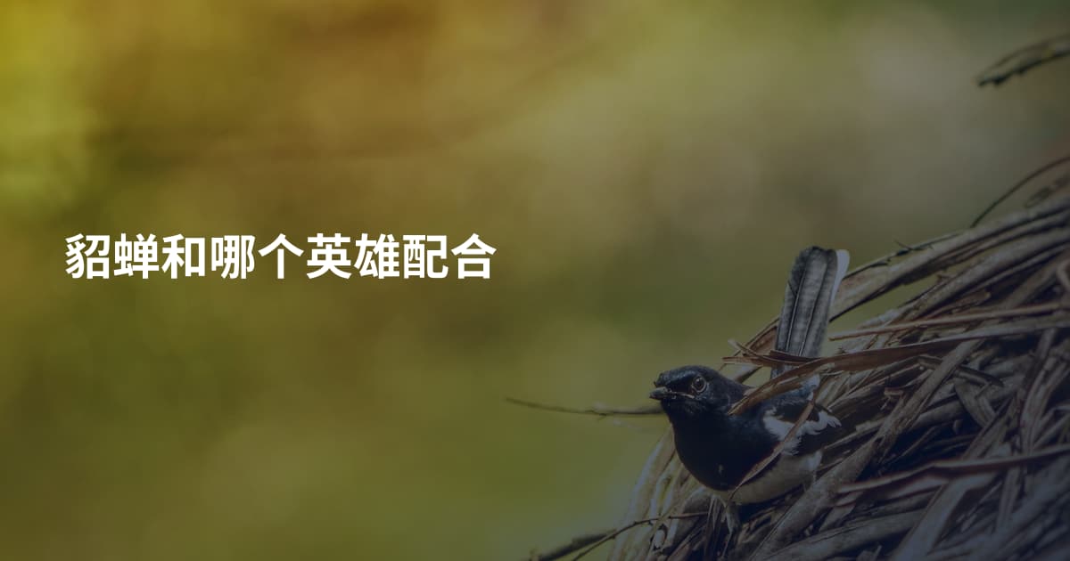 貂蝉和哪个英雄配合