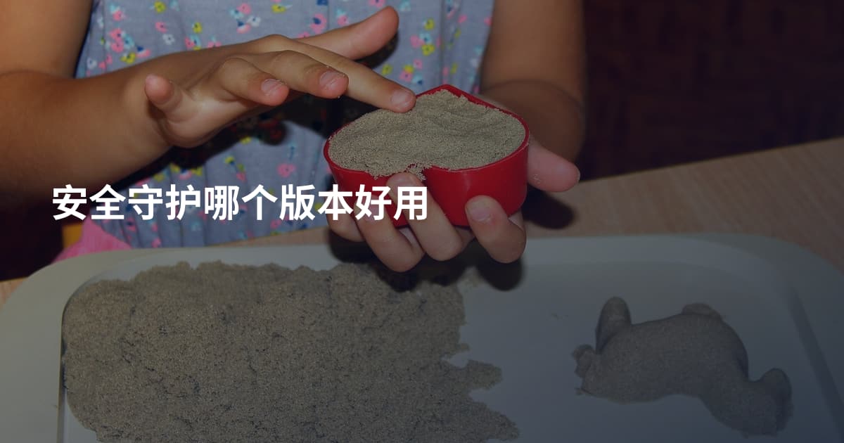 安全守护哪个版本好用