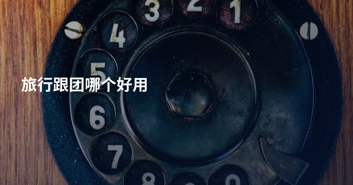 旅行跟团哪个好用