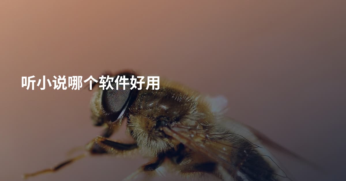 听小说哪个软件好用