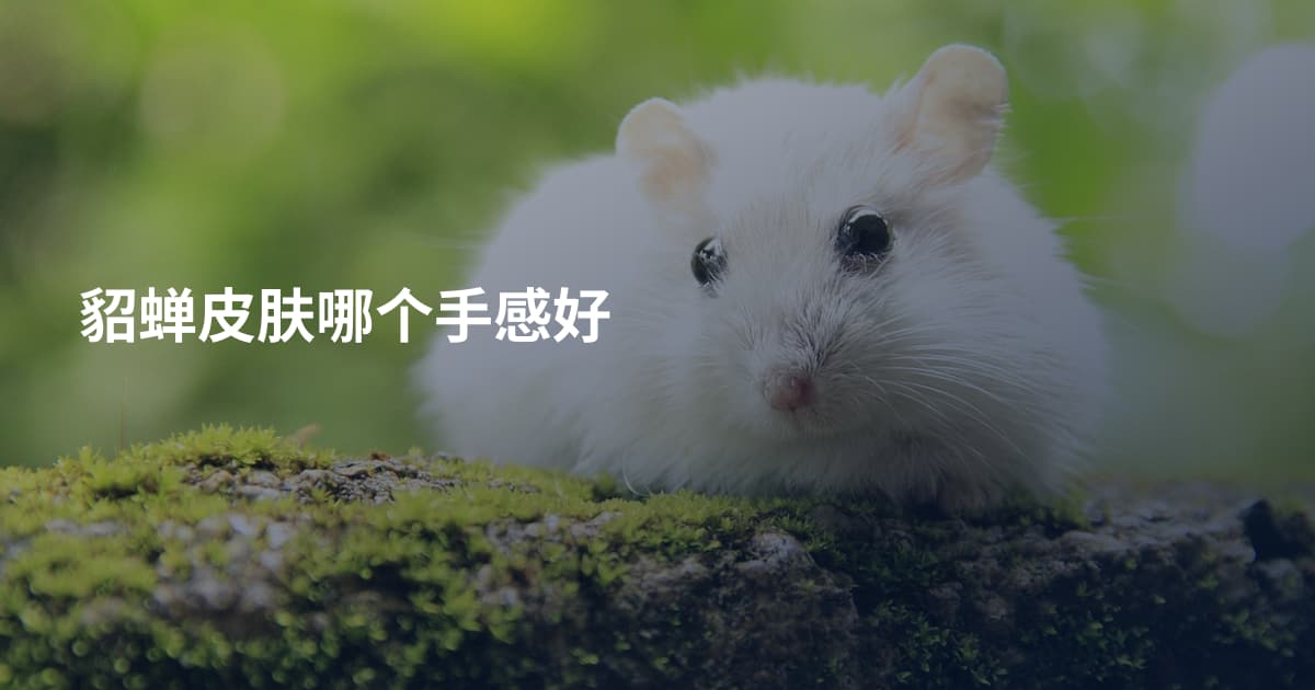 貂蝉皮肤哪个手感好