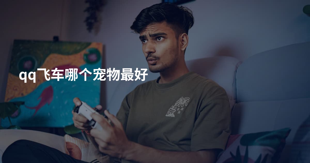 qq飞车哪个宠物最好