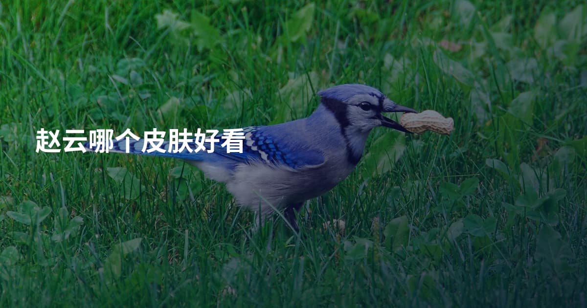 赵云哪个皮肤好看
