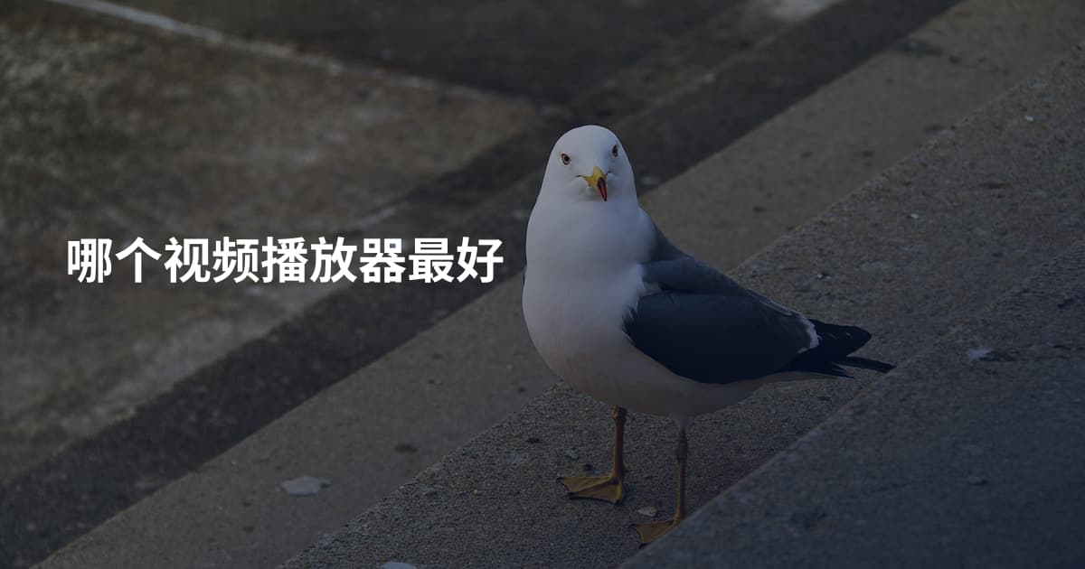 哪个视频播放器最好
