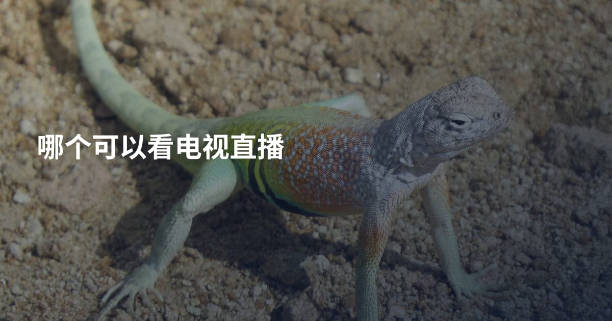 哪个可以看电视直播