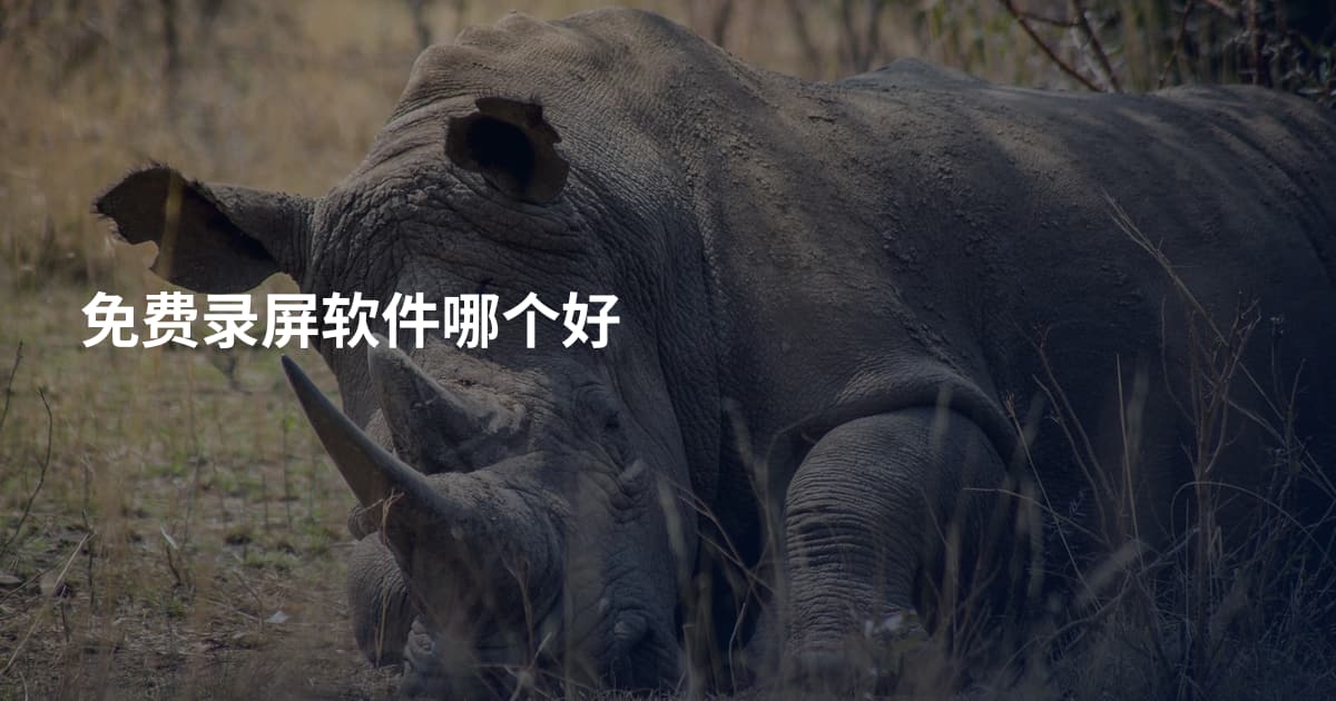 免费录屏软件哪个好