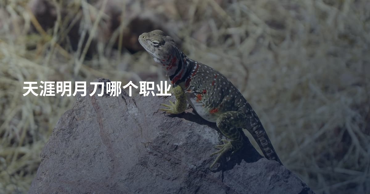 天涯明月刀哪个职业